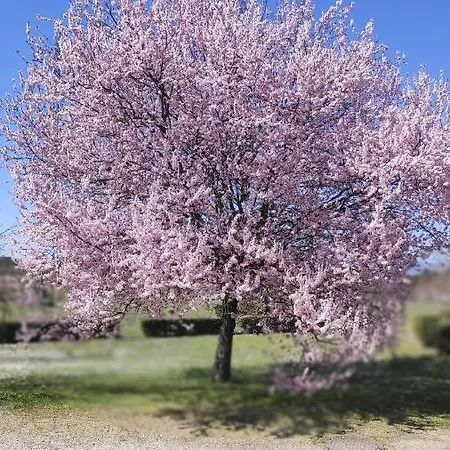 Cielazzurro 3*